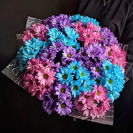 Букет из 15 крашеных кустовых хризантем — Букет из 15 крашеных кустовых хризантем — монобукет из хризантем с выразительным акцентом на одном виде…